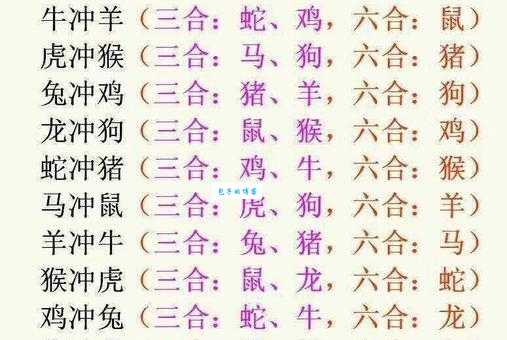 解密：寻花问柳到底对应哪个生肖？真相在这里！
