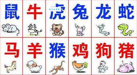 伯乐相马的生肖是哪个？答案可能让你意外