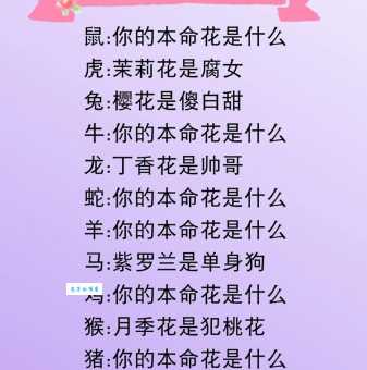 笔下生花代表什么生肖？十二生肖中谁文采最出众