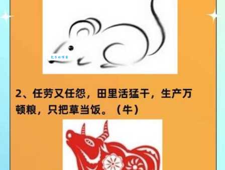 谜语揭晓！一举成名天下闻究竟是哪个生肖？