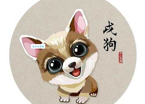 狗尾续貂打一正确生肖是什么动物？