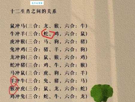 你知道出水芙蓉指的是哪几个生肖吗？答案可能让你意外