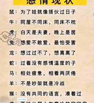 哪个生肖心细胆大又聪明？答案或许超乎你的想象