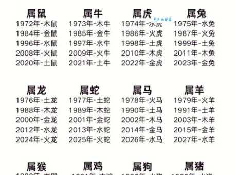 风尘绝色是什么生肖？马？兔？还是其他？