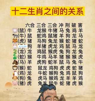 百折不挠对应哪个生肖？探秘生肖与性格之间的联系