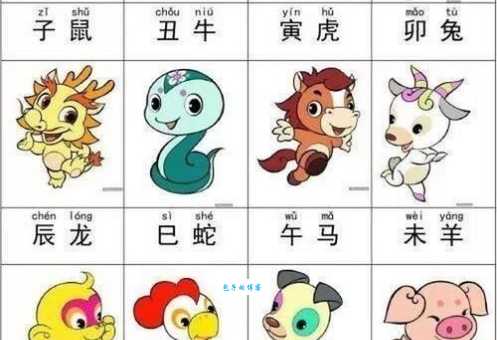你知道五彩缤纷是哪个生肖吗？趣味生肖知识问答