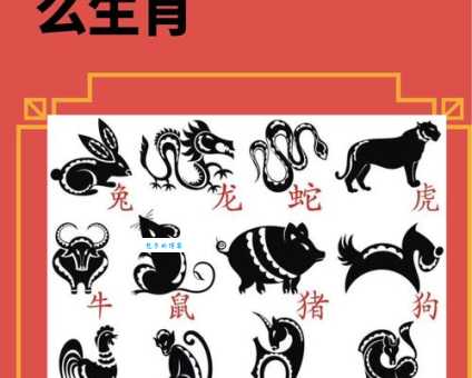 龙骧虎步是哪几个生肖？揭秘成语背后的生肖寓意