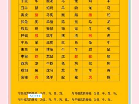 揭秘：轻浪浮薄对应哪个生肖？详细分析来了