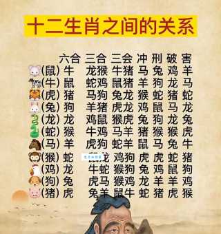 十二生肖中哪个最符合红颜丑陋无天理？答案可能出乎意料！