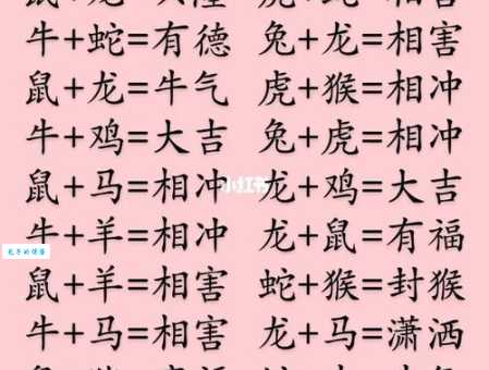 急急急！一家老小对应哪个生肖？答案在这里