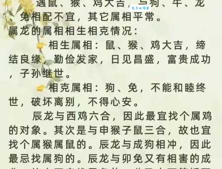不荤不素是什么生肖？龙是？鸡是？详解生肖与饮食