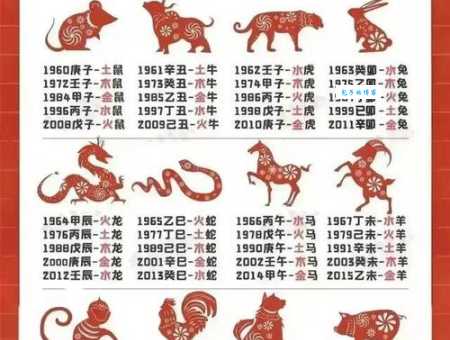“万紫千红”对应哪个生肖？揭秘答案！