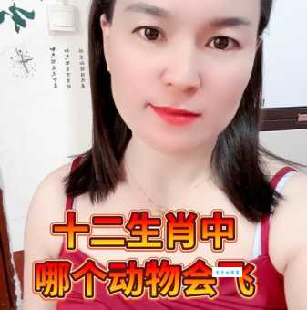 眉飞色舞是哪个生肖？快速揭晓答案！