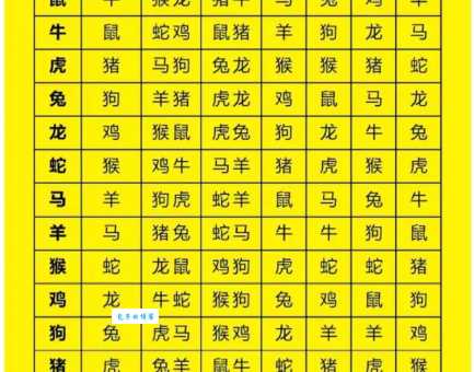 不破不立是哪个生肖的写照？十二生肖性格与破立的关系