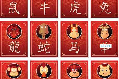 鼠雀之牙是什么生肖动物？传统文化中的生肖解读