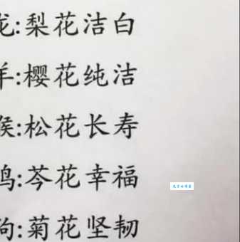 满脸生花究竟是什么生肖？民间说法大汇总！