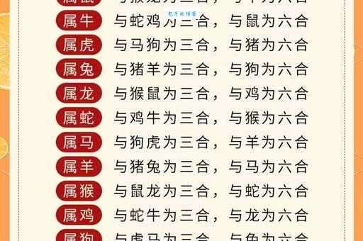 六七都配三字后是什么生肖？揭秘隐藏生肖密码
