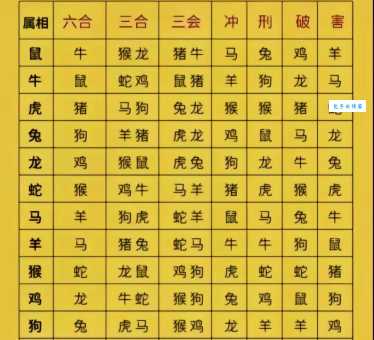 落地生根是什么生肖？十二生肖中哪个最贴切？