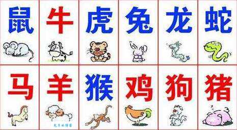 想知道指山卖岭是哪种生肖吗？答案让你意想不到！