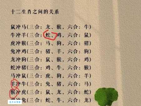 一飞冲天最准生肖排名，看看你的生肖排第几？