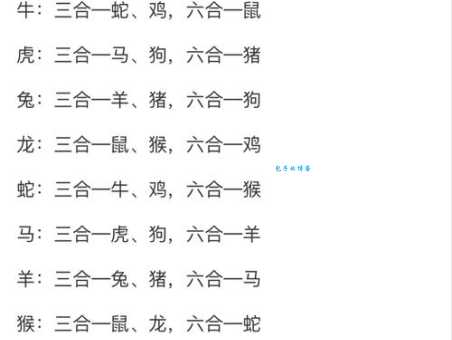 “独步天下”指什么生肖？揭开谜底，答案就在这里！