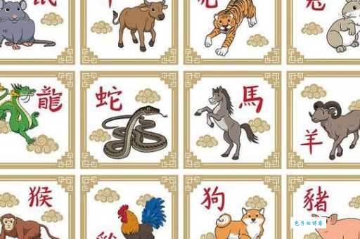 哪个生肖的动物最爱大摇大摆地走？