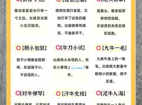 缺斤短两打一生肖是什么动物？快来揭晓答案！