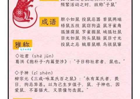 震木之象代表哪个生肖？快速解谜！