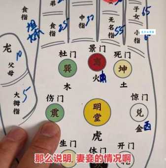 震木之象代表哪个生肖？快速解谜！