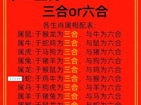 猜生肖：入木三分指的是哪种动物？