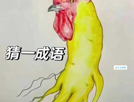 临鸡惊晓是什么生肖动物？揭秘成语与生肖的关联