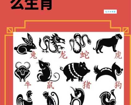 狼烟四起打一精准生肖是什么动物？