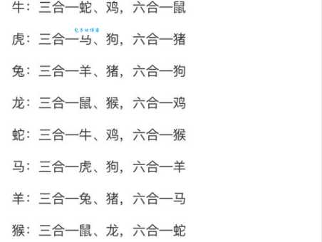 志在四方是什么生肖？轻松解读生肖谜题！