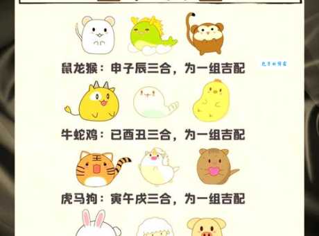 二七合三起一六是什么生肖？揭秘隐藏生肖密码