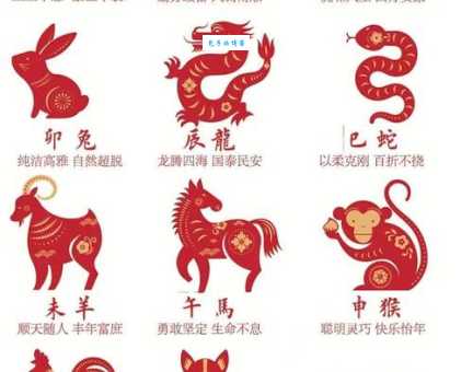 花开花落又一村是什么生肖？答案揭晓！