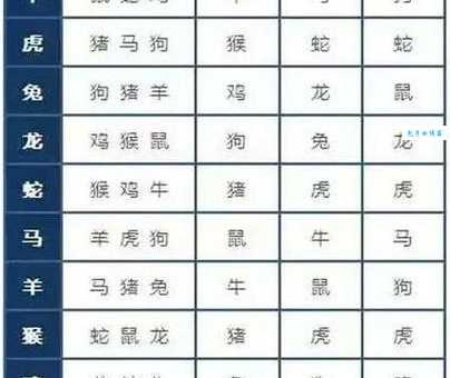 解谜：白日做梦代表的生肖是哪个？