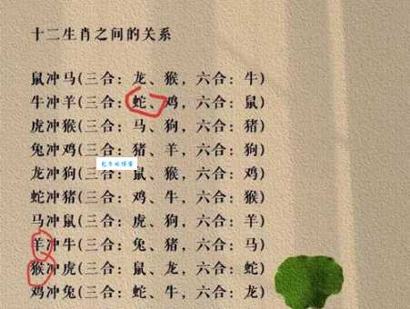红颜素妆猜一生肖，兔、鸡、鼠哪个更符合？