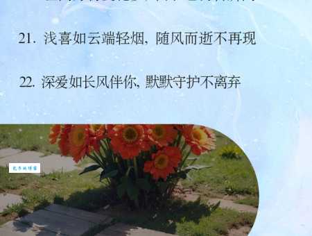 白云苍狗是哪个生肖？揭秘答案！