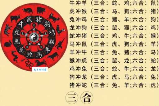 深藏入地是什么生肖？鼠和蛇是最佳答案吗？