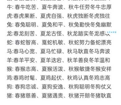 春雨绵绵指什么生肖？揭秘春雨与生肖之间的神秘联系