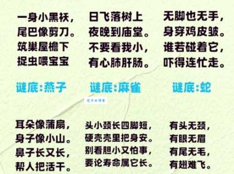 猜谜语：芙蓉出水打一生肖，你知道答案吗？