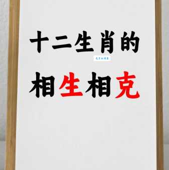 一克容情是什么生肖？揭秘十二生肖中包容的动物