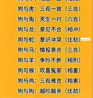 一克容情是什么生肖？揭秘十二生肖中包容的动物