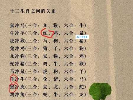 风华正茂对应什么生肖动物？你猜对了吗？