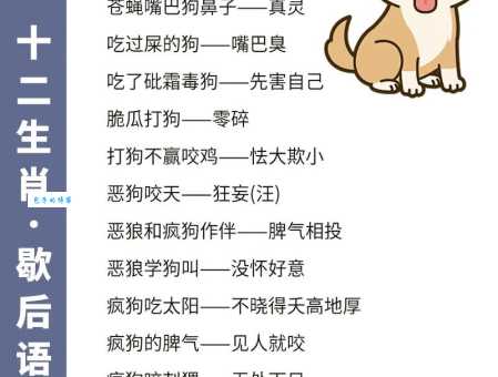 时人不识凌云木，到底是什么生肖动物？