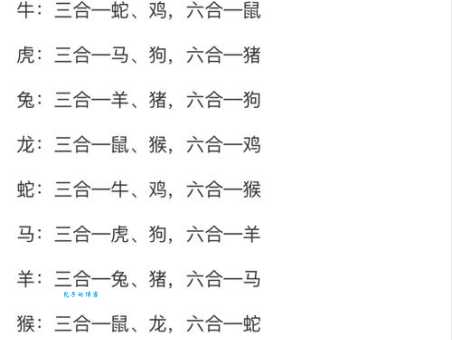 解密甘心情愿的生肖秘密，究竟是哪一个？