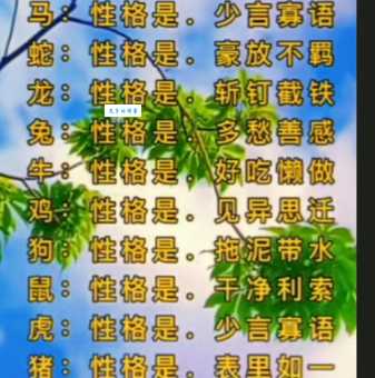 “兵在精而不在多”指的是哪个生肖？