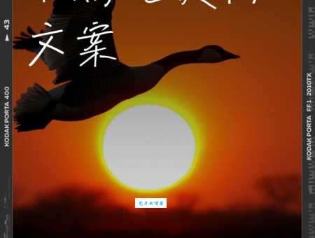 “秋高气爽”打一生肖，你知道答案吗？