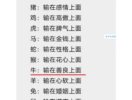 萍水相逢代表哪个生肖？详解十二生肖性格与际遇