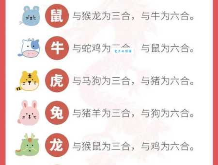 “三三上下左右好”是哪个生肖？多种解读，让你大开眼界！